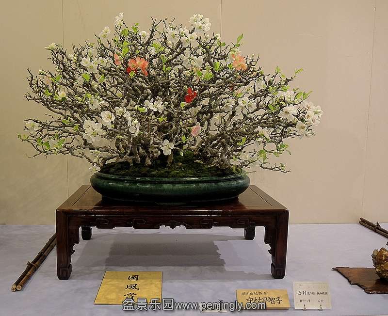 Kokufu Ten 2013 058.jpg