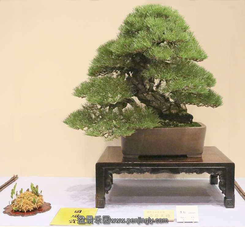 Kokufu Ten 2013 075.jpg