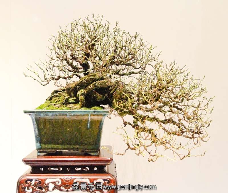Kokufu Ten 2013 077.jpg
