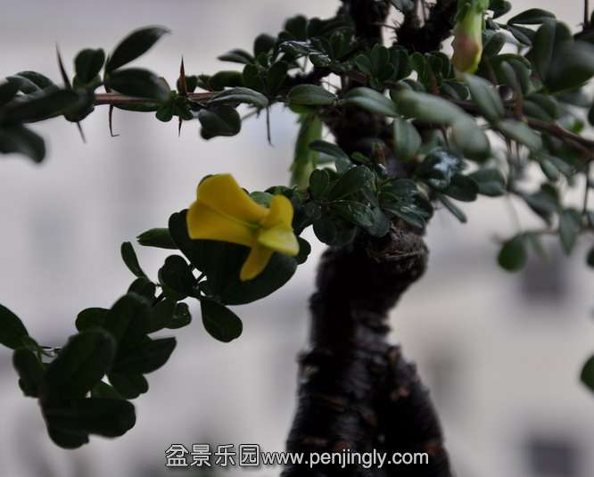 DSC_1212.jpg