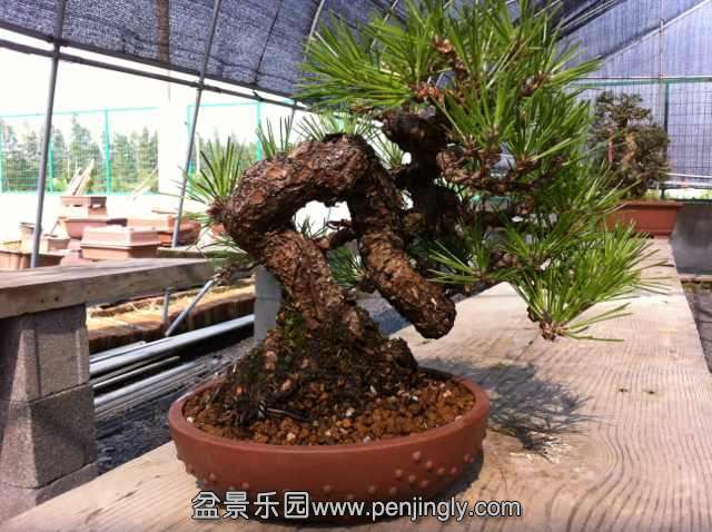 IMG_0201 (640x478).jpg