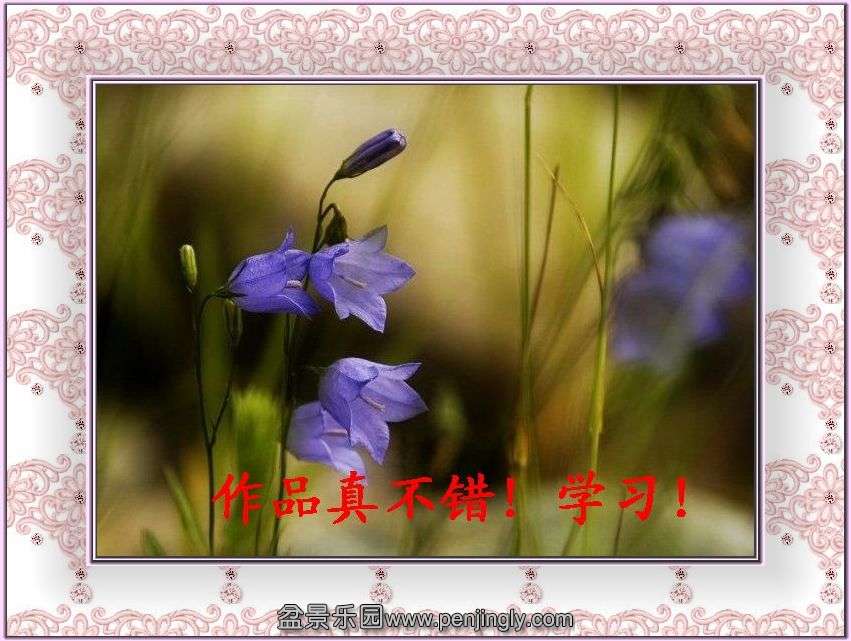200912815534450077804.jpg