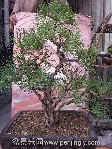 20131022_163930.jpg
