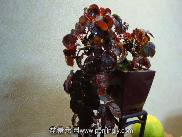 DSC05846.JPG