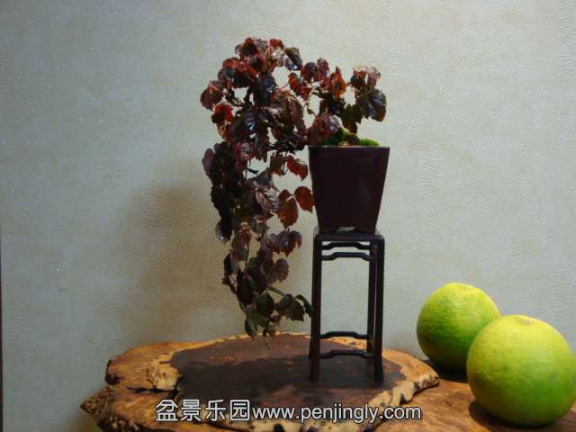 DSC05842.JPG