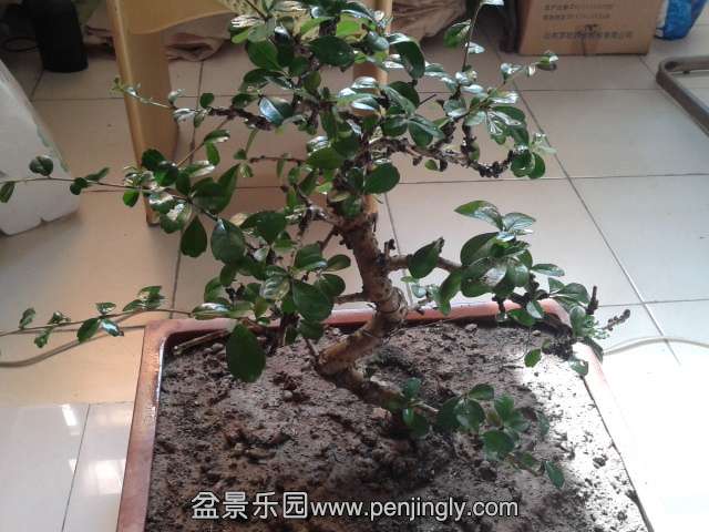 2013-10-24 11.42.15.jpg
