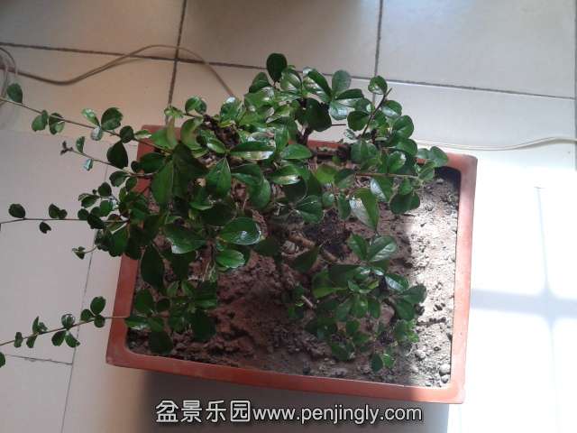 2013-10-24 11.42.21.jpg