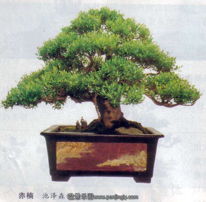 ɭ-2.jpg