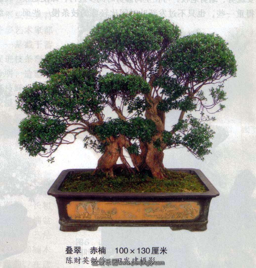 辰-²Ӣ-.jpg