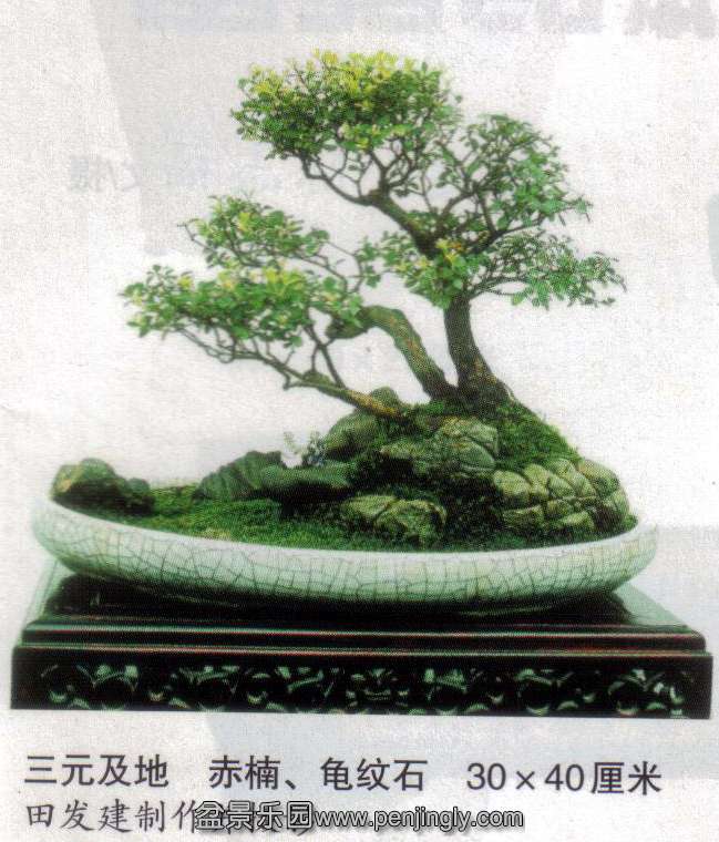 辰-﷢-骡ʯ.jpg