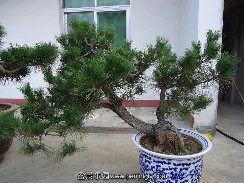 DSC01016_.jpg