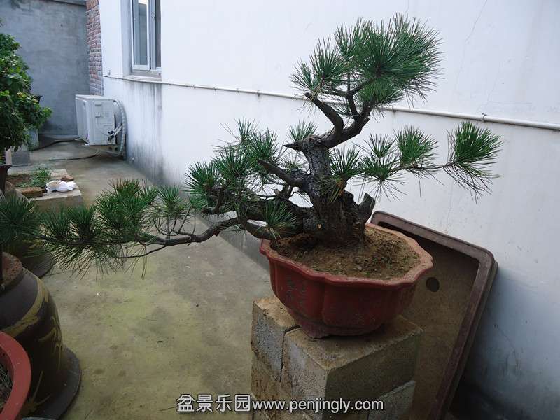 DSC01025_.jpg