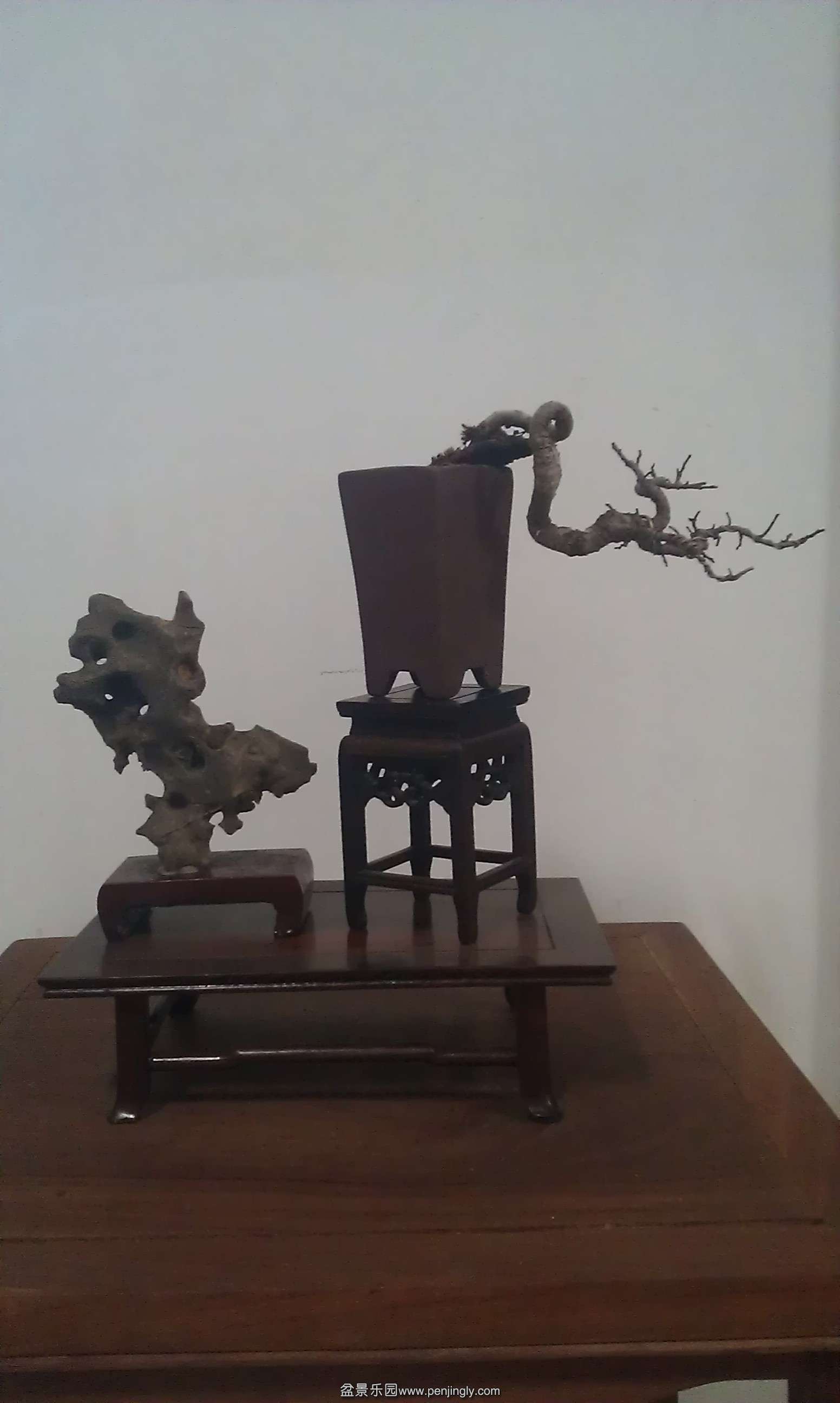 IMAG0351.jpg