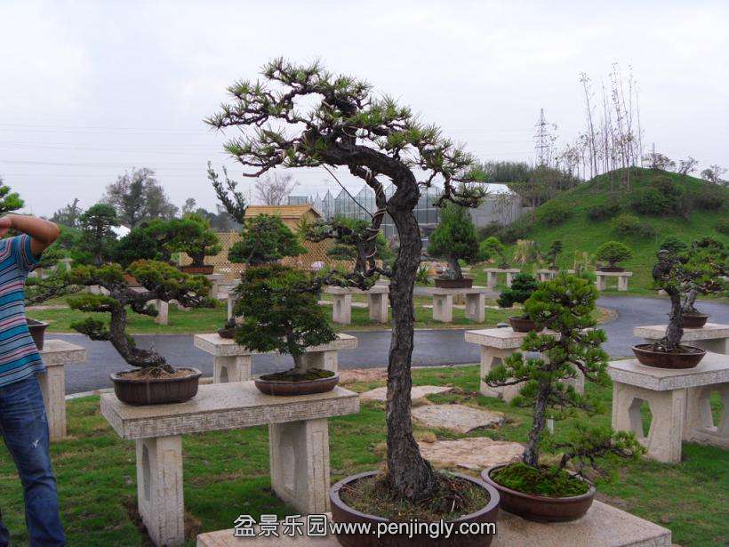 SDC12804.JPG