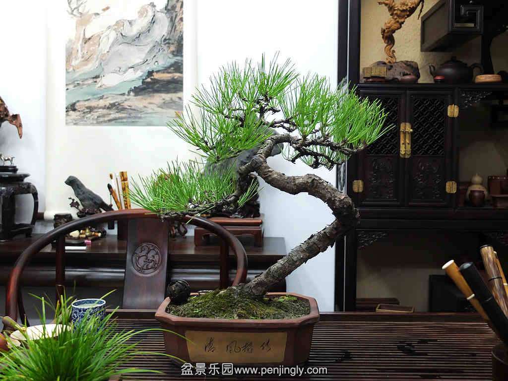 DSCF7825.jpg