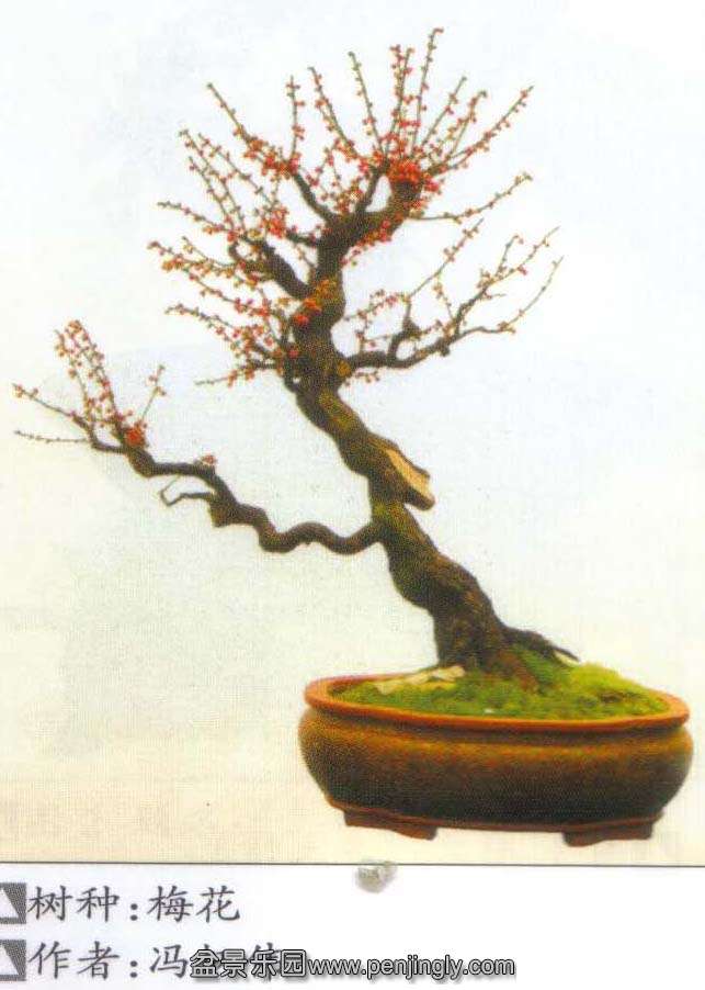 ΰ-÷׮͡ľ2011-1 .jpg