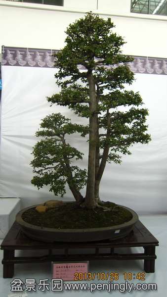 IMG_4464.JPG