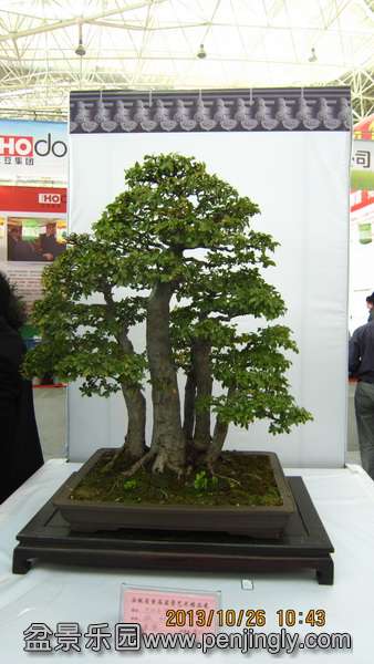 IMG_4470.JPG
