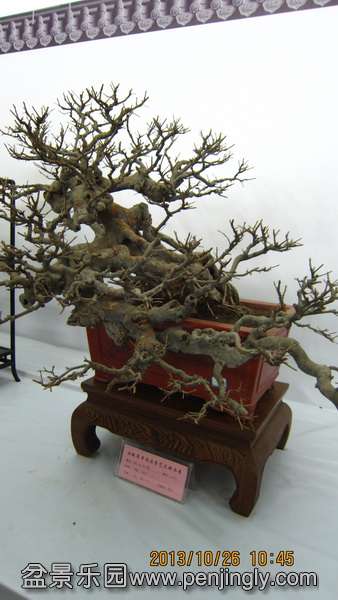 IMG_4483.JPG