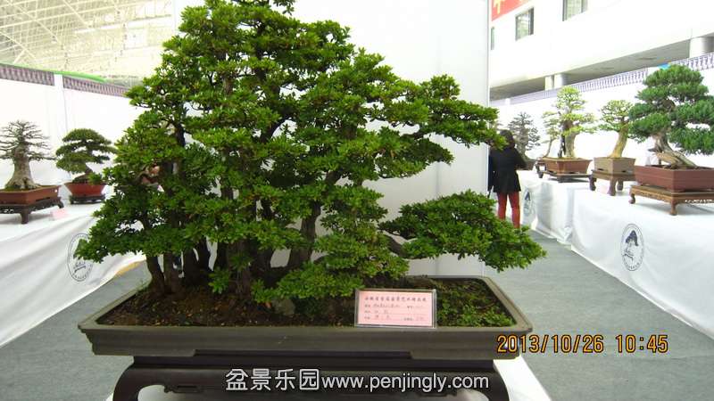 IMG_4486.JPG