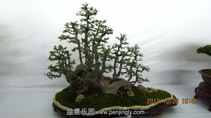 IMG_4496.JPG