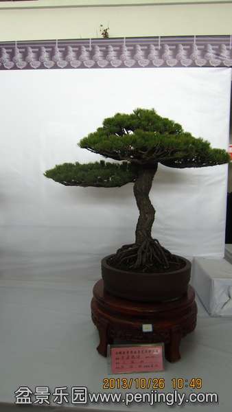 IMG_4510.JPG