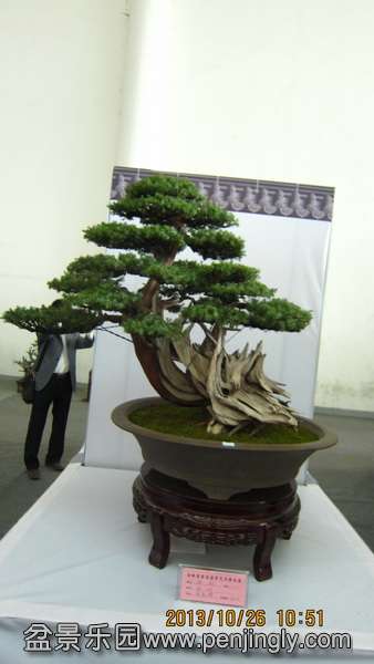 IMG_4524.JPG
