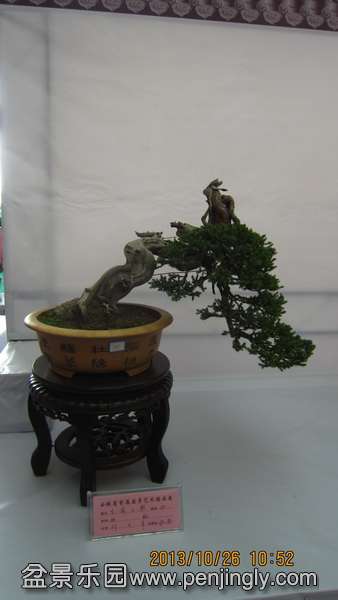 IMG_4530.JPG