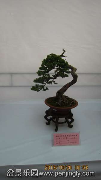 IMG_4532.JPG