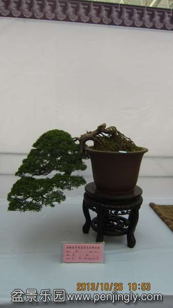 IMG_4537.JPG