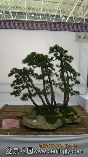 IMG_4539.JPG