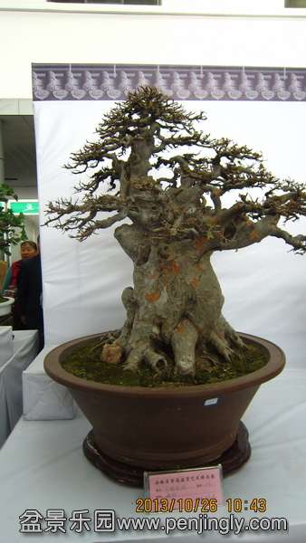 IMG_4469.JPG
