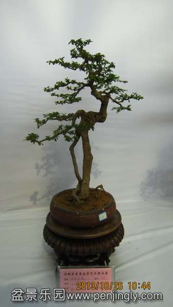 IMG_4473.JPG