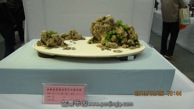 IMG_4475.JPG