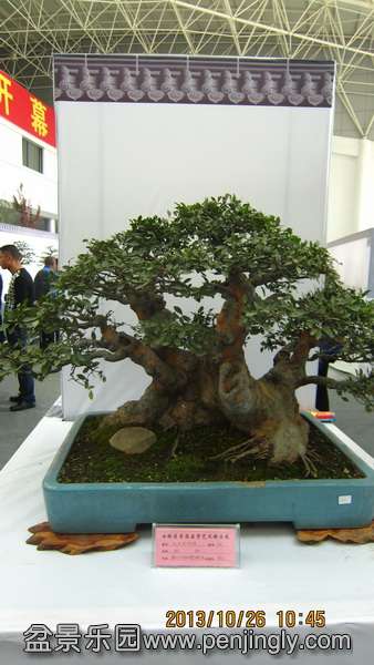IMG_4480.JPG