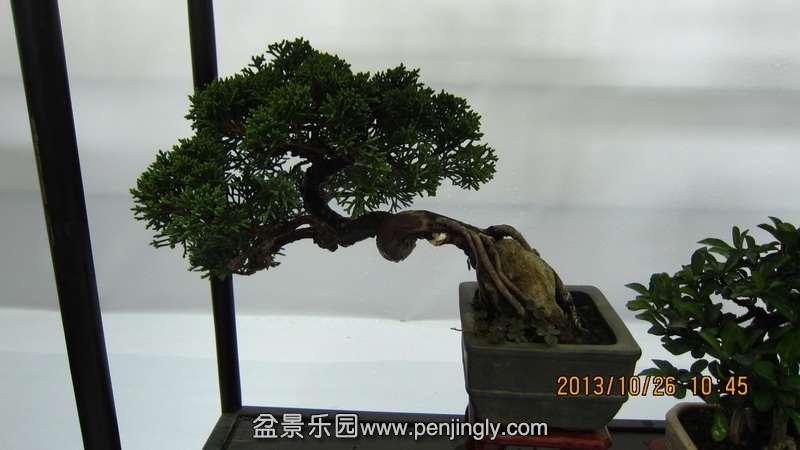 IMG_4482.JPG