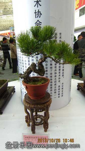 IMG_4491.JPG