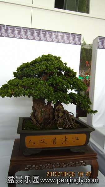 IMG_4498.JPG