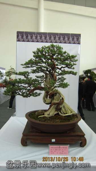 IMG_4501.JPG