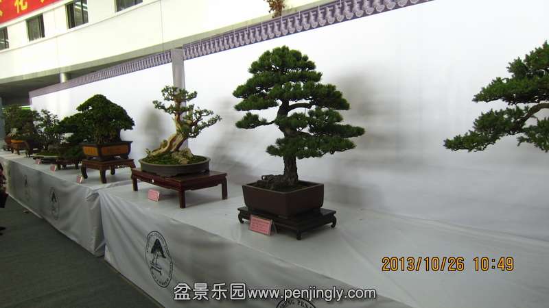 IMG_4507.JPG
