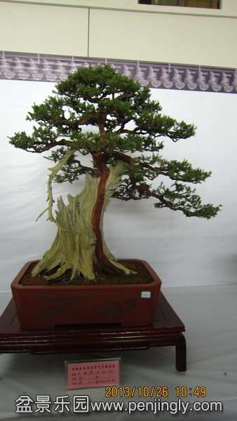 IMG_4512.JPG