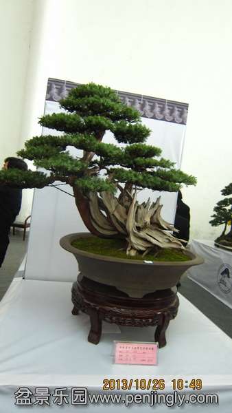 IMG_4511.JPG