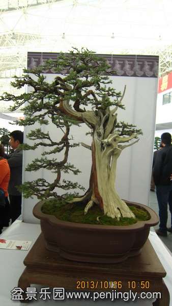 IMG_4516.JPG