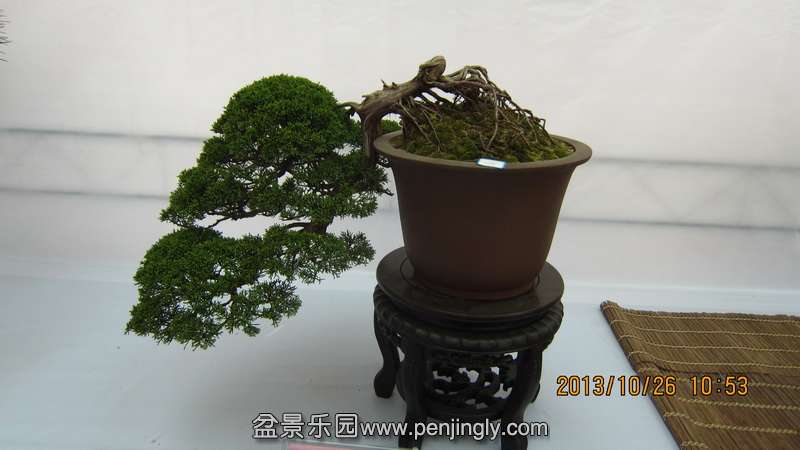 IMG_4538.JPG
