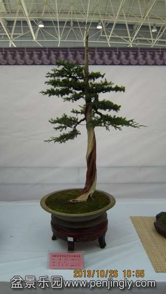 IMG_4550.JPG