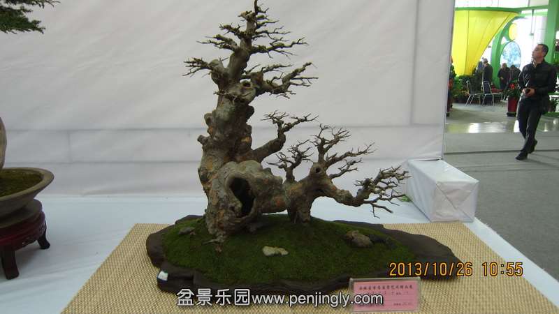 IMG_4552.JPG