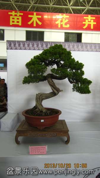IMG_4556.JPG