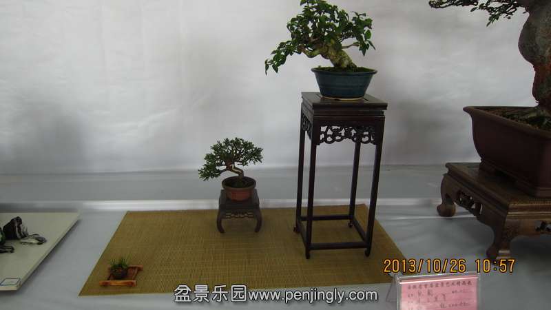 IMG_4564.JPG