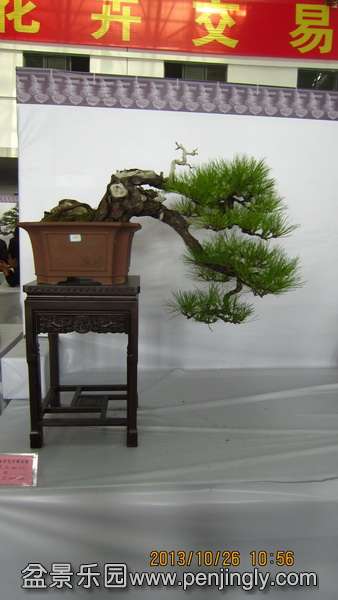 IMG_4560.JPG