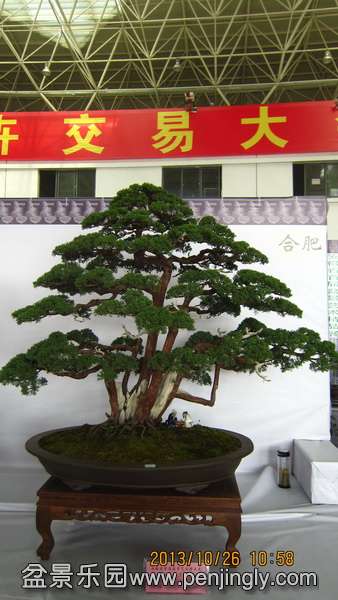 IMG_4571.JPG